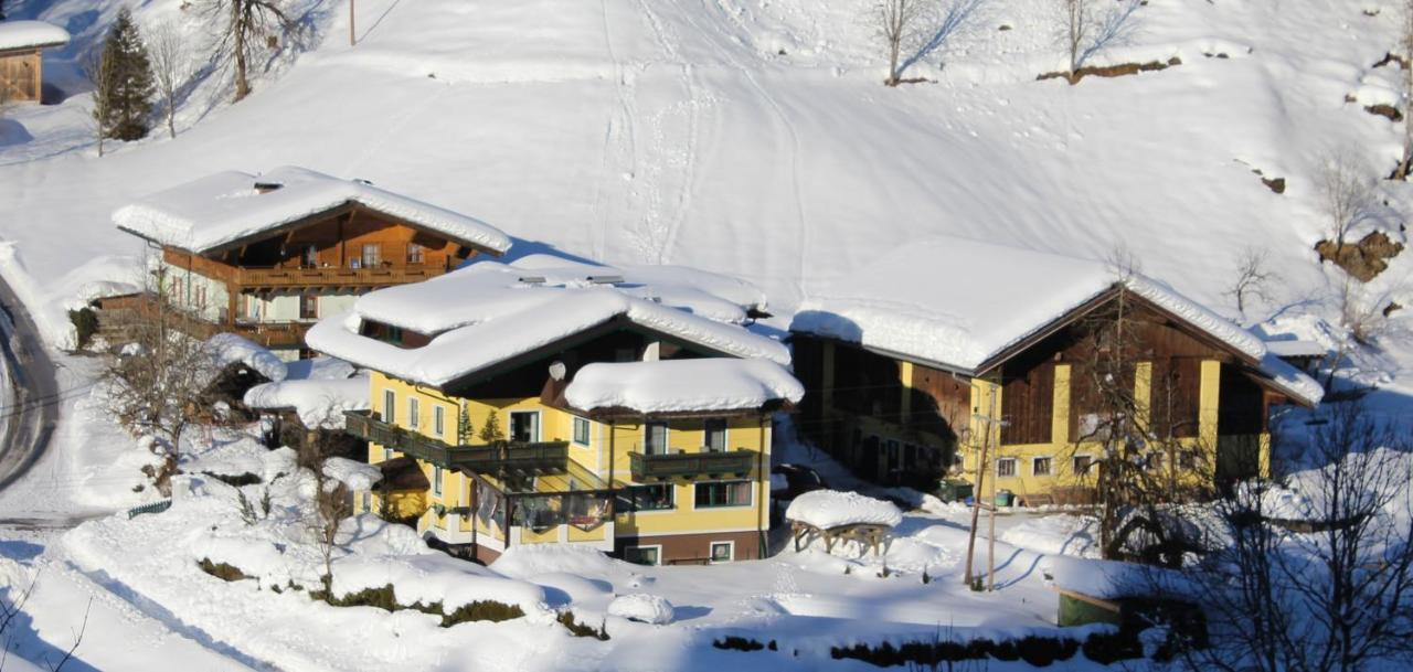 Schattaugut Eben Im Pongau Εξωτερικό φωτογραφία